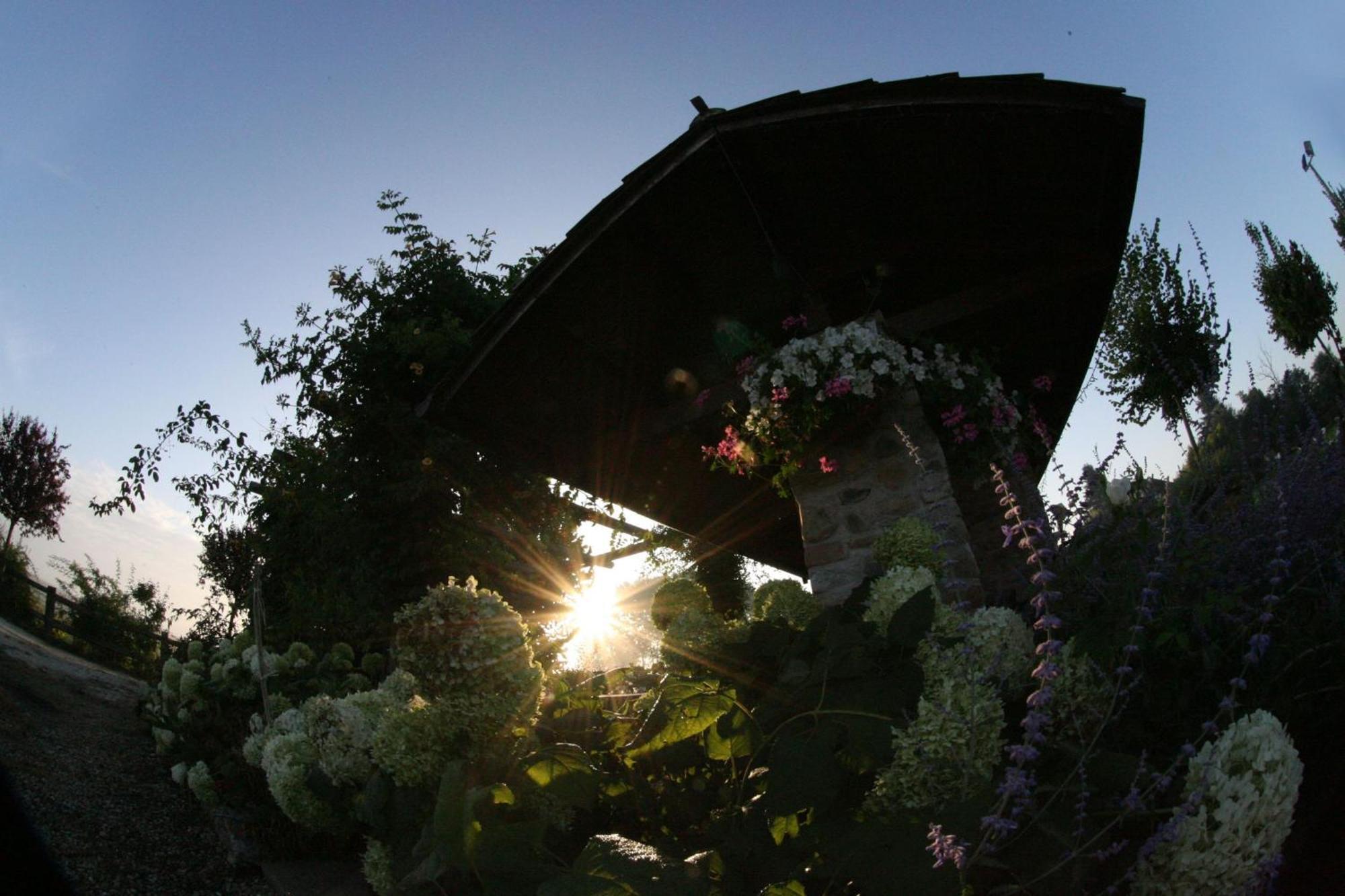 Le Soleil Villa Vigone Eksteriør billede