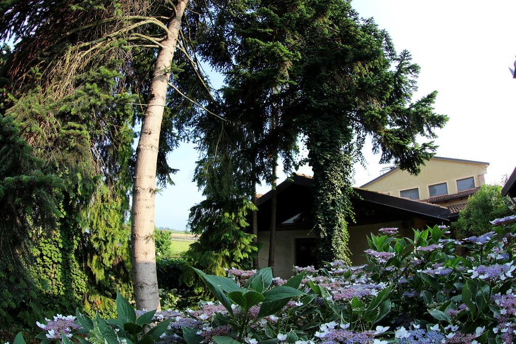 Le Soleil Villa Vigone Eksteriør billede